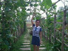 -北纬44度·金珠花海休闲农业旅游景区