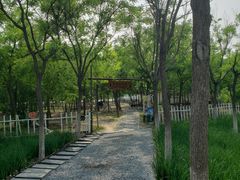 -天津东丽湖风景区