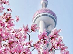 -东方明珠广播电视塔