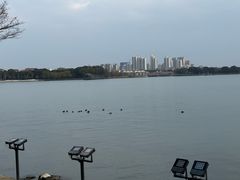 -金鸡湖桃花岛