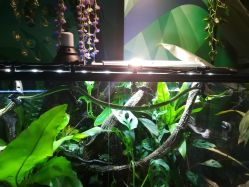 -酷嗒动物文化乐园(cutezoo西溪乐天城店)