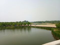 -东郊湿地公园