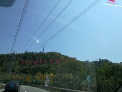 -崖口云吞(中堡店)