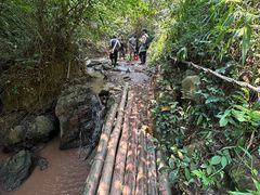 -西双版纳基诺山寨