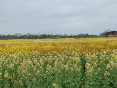 -中国天府农业博览园