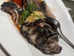 -悦海堂(金融街购物中心店)