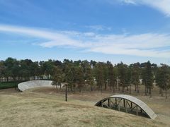 -春花秋色城市公园