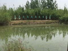 -泗洪洪泽湖湿地景区