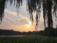 -香妃烤鸡(新奥店)