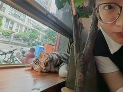 -咖法森林·咖啡  酒吧(天河店)