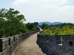 -黄贤森林公园