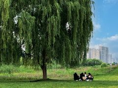 -咸阳湖景区
