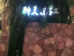 -醉美东江·三文鱼·烧鸡公