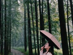 -山王坪喀斯特国家生态公园