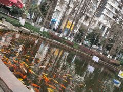 -温江公园