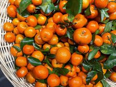 -蓝鲸湾汤泉(包河店)