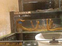 -衢农会·衢州菜·宴请(国际机场店)