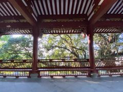 -乌山风景区