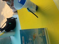 -海合安成都极地海洋公园