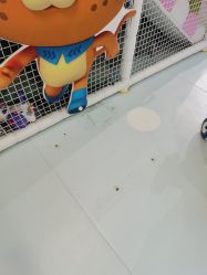 -万达宝贝王(上海浦江店)