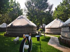 -九十九顶毡房(阜石路店)