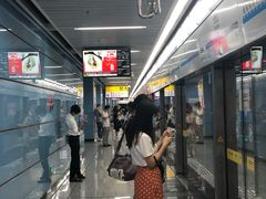 -大龙山(地铁站)