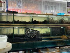 -争先鲜·蒸汽海鲜自助·鲜切牛肉