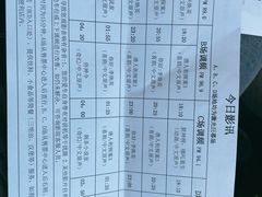 -枫花园汽车电影院(朝阳公园店)
