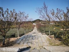 -锄山村