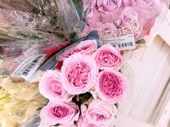 -盒马X会员店(王府井奥莱UP TOWN店)