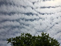 -上海望仙安息园