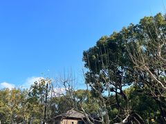 -星巴克(武康路店)