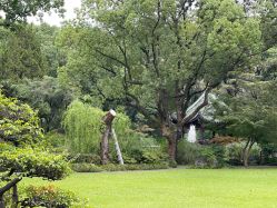 -丁香花园申粤轩·宴会厅