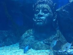 -暹罗海洋世界