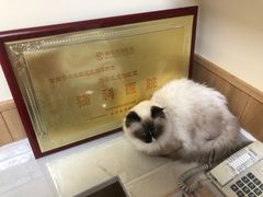 -瑞派宠物医院·24h·骨外科·皮肤科·全科宠物医疗转诊中心(沈阳浑南院)