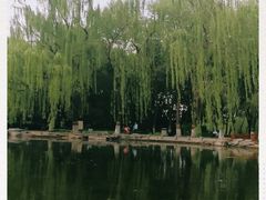 -玲珑塔公园