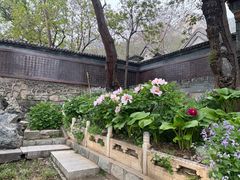 -北京凤凰岭