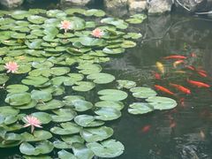 -苏州文旅花间堂·探花府酒店