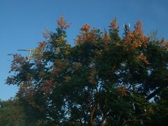 -绍兴鉴湖君澜大酒店