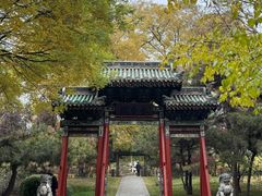 -迎泽公园
