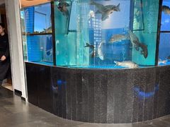 -王家渡火锅店(棕榈泉店)