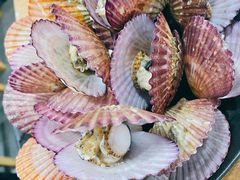 彩虹贝-老虎滩大连海鲜烧烤(建邺云锦路总店)