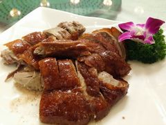 烧鹅-南海食街(佛冈店)