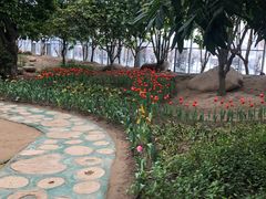 -南通洲际绿博园