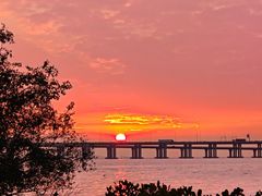 -宝安西湾红树林湿地公园