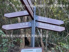 -马峦山郊野公园