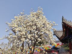-西安市广仁寺