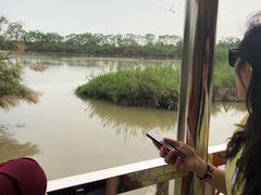 -大湾区中央湿地公园
