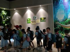 -海南热带野生动植物园