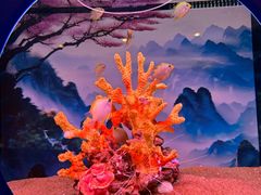 -欢乐海岸海洋奇梦馆